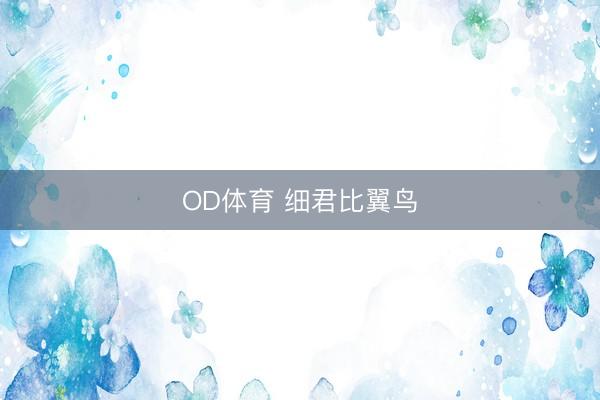 OD体育 细君比翼鸟